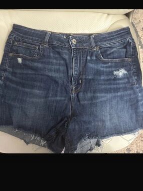American Eagle Outfitters Women's Medium Wash Distressed Jean Shorts